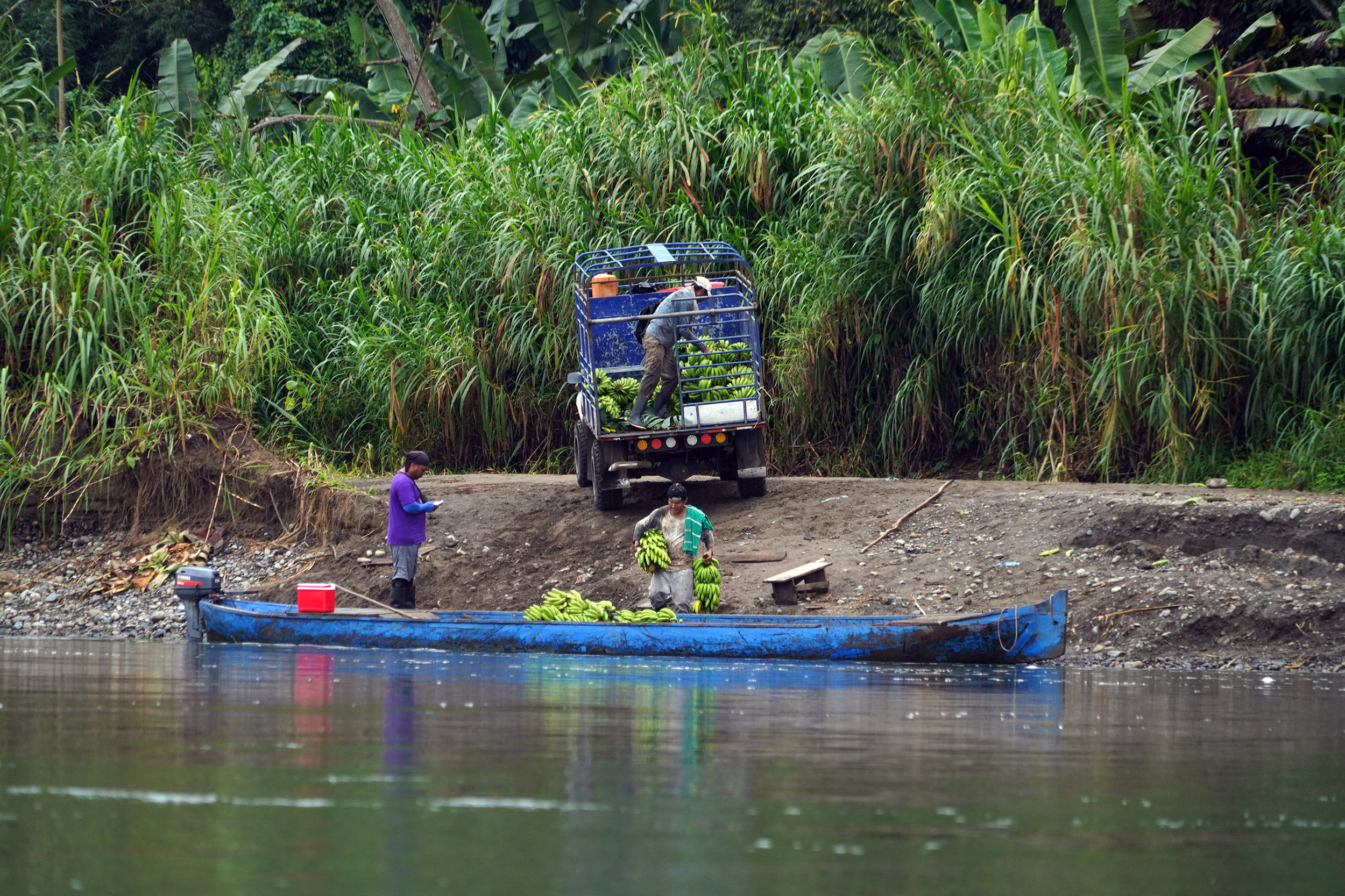 Costa Rica - Février 2025
